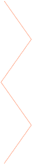 vector